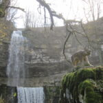 Cascades du Hérisson