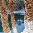I take a semi-rest day to enjoy the spectacular scenery of the Ziz gorges and return to the hot springs of Hammat Moulay Ali Cherif, this time to visit the […]